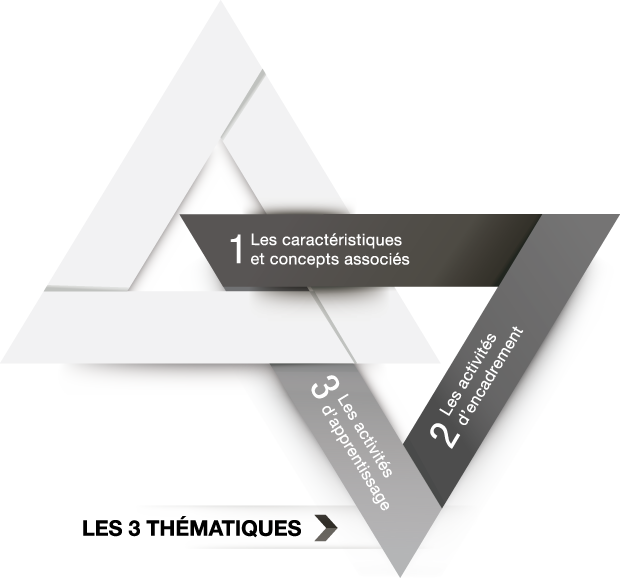 Figure&nbsp;1. L’organisation des composantes de contenu du cours EDU&nbsp;6013 Soutien à l’apprentissage à distance